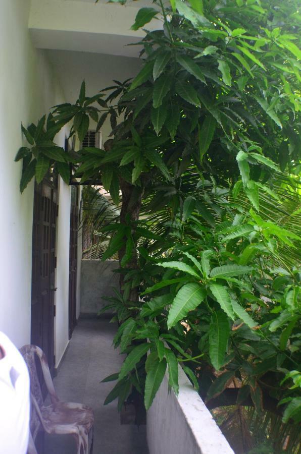 Steps Backpackers Hostel Colombo Eksteriør bilde